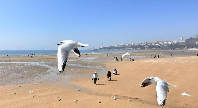 Grand Madison Qingdao Harbour-View Central（Former Qingdao Farglory Hotel） Dış mekan fotoğraf